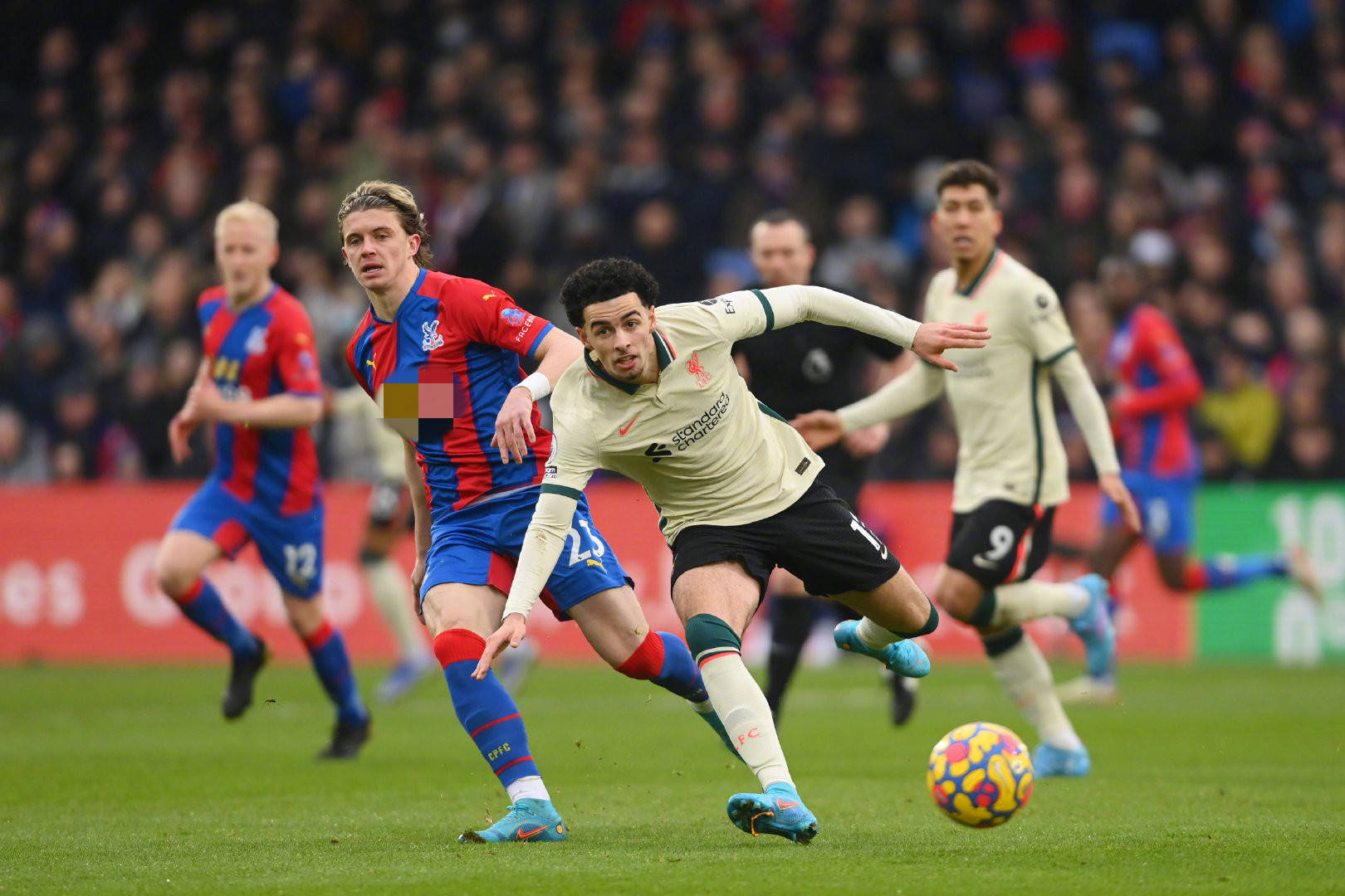 球文化在意 球文化在意